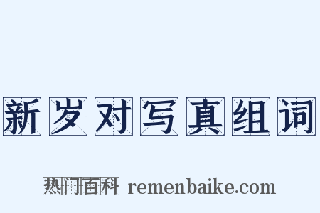 新岁对写真组词是什么意思的图片